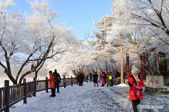 Scenery of rime-covered trees in Mudanjiang, China's Heilongjiang