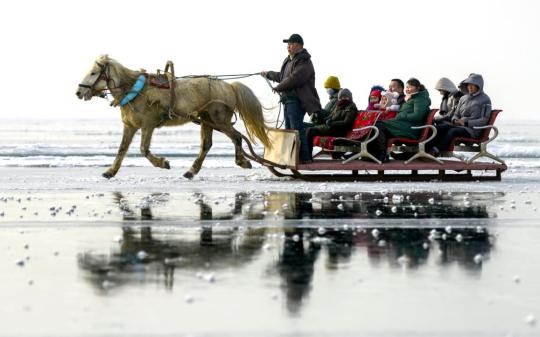 Tourists ride a horse sleigh on Bosten Lake in Xinjiang Uygur autonomous region on Saturday. (Photo by Liu Xin/China News Service)