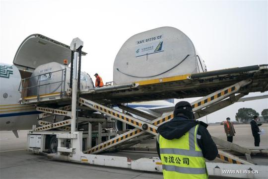 Workers unload aid materials from a cargo plane of China Postal Airlines at the Wuhan Tianhe International Airport in Wuhan, Central China's Hubei province, Jan 29, 2020. (Photo/Xinhua)