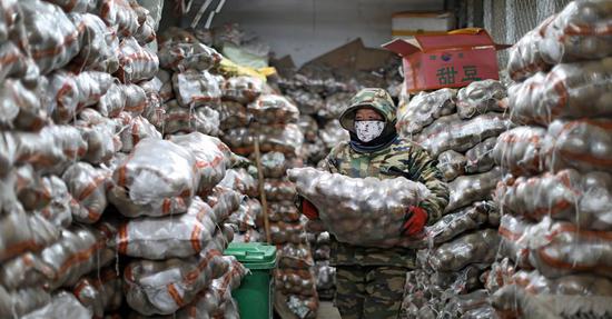 A worker carries potatoes at a wholesale market, which stays in business amid the current novel coronavirus outbreak, in Shenyang, northeast China's Liaoning Province, Feb. 4, 2020. (Xinhua/Yao Jianfeng)