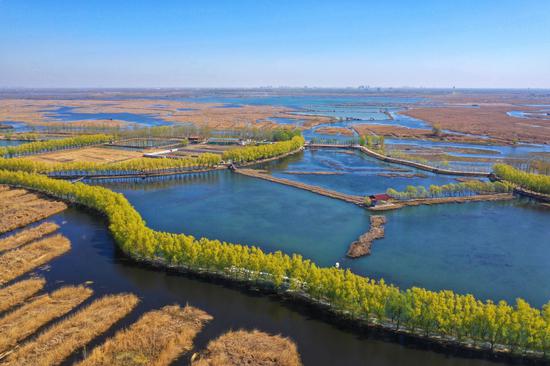 An aerial view of Baiyangdian Lake in Xiongan New Area, Hebei province. (Photo/Xinhua)
