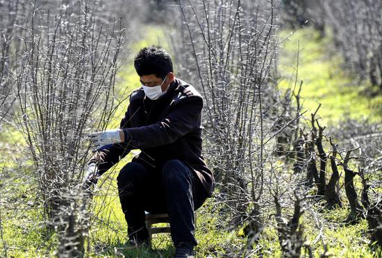 A villager works in the field in Tongling City, east China's Anhui Province, Feb. 18, 2020. (Photo by Guo Shining/Xinhua)