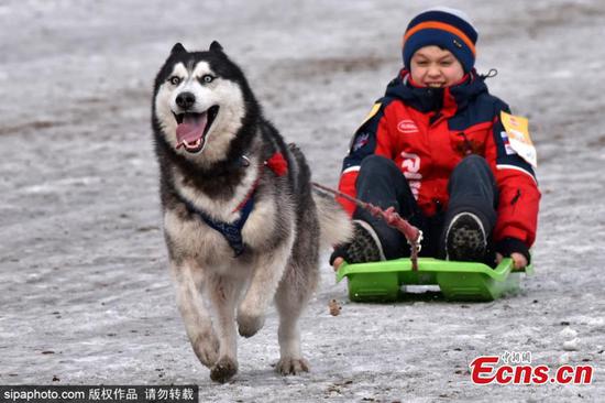 In pics: Sled dog race in Russia