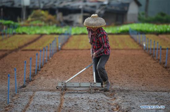 Spring farming in Haikou, S China