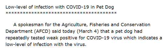 HKSAR government confirms at a press release on March 4, 2020 that a pet dog has repeatedly tested weak positive for COVID-19 virus. (Photo Coutersy of GovHK)