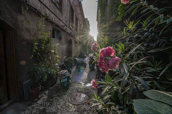 An old alley in the old town of Kashgar, northwest China's Xinjiang Uygur Autonomous Region on July 9, 2019. (Xinhua/Zhao Ge)