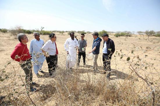 Chinese experts talk with local locust control staff in Tharparkar desert of Sindh province, Pakistan, Feb. 26, 2020. (Xinhua/Liu Tian)