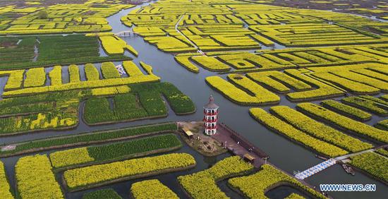 Scenery of cole flowers in Jiangsu