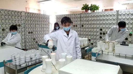 Workers make TCM products in Northwest China's Gansu province. (Photo provided to chinadaily.com.cn)