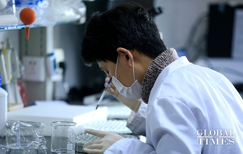 A scinetist is doing research on a vaccine against COVID-19 in Shanghai. (Photo:Yang Hui/GT)