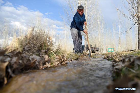 Reclaimed water widely used to improve ecological environment in Xinjiang
