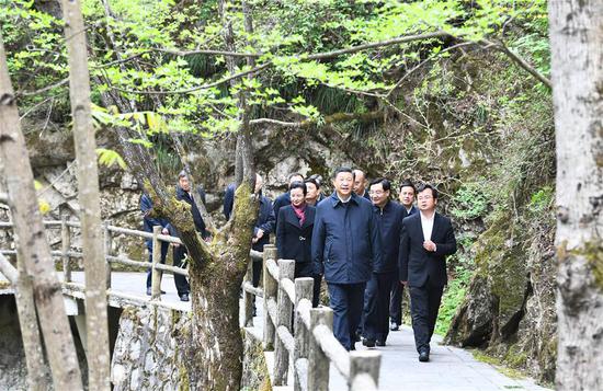 Chinese President Xi Jinping, also general secretary of the Communist Party of China Central Committee and chairman of the Central Military Commission, inspects ecological preservation of the Qinling Mountains in Niubeiliang National Nature Reserve in Zhashui County, Shangluo City, northwest China's Shannxi Province, April 20, 2020. (Xinhua/Xie Huanchi)