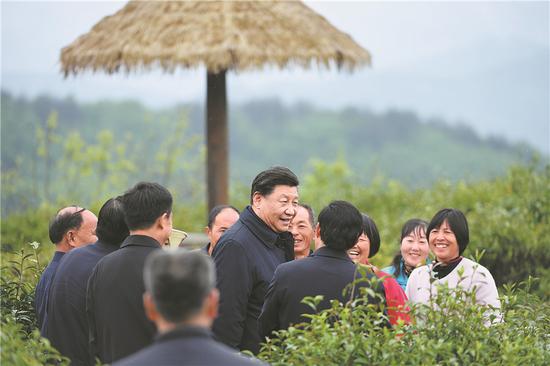 President Xi Jinping learns about local poverty alleviation efforts at a tea plantation in Pingli county, Shaanxi province, on Tuesday, the second day of his inspection tour of the province. (Photo by Zhai Jianlan / Xinhua)