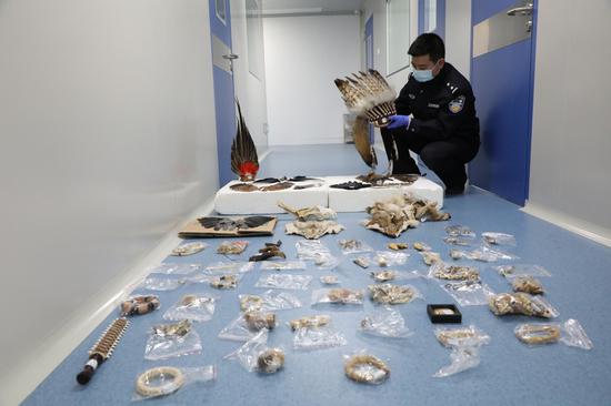 A police officer shows some of seized wildlife animal products in Northeast China's Jilin province, Feb 27, 2020. (Photo/Xinhua)