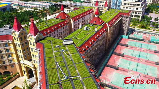 In pics: Rooftop gardens set up at school in Zhengzhou