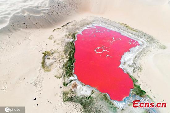 Pink lake hidden in desert in northern China shines like sapphire