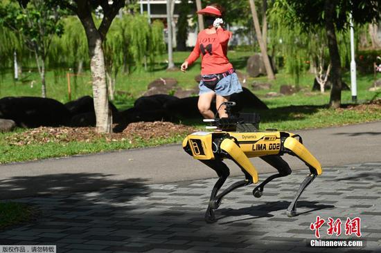 Robot dog enforcing social distancing in Singapore