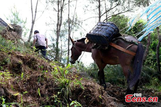 In pics: Horse caravan in E China village