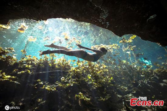 Breathtaking images show free diver in Mexican cenote