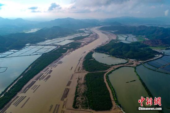 Aerial view of the national wetland park in South China's Guangdong Province, June 3, 2019. (File photo/China News Service)