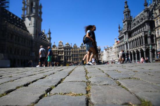 Green grass is seen among the stones on the Grand Place in Brussels, Belgium, May 30, 2020. Affected by the COVID-19 pandemic and the confinement, the number of tourists to the Grand Place, a well-known world heritage site in Brussels, dropped dramatically in recent months. (Xinhua/Zheng Huansong)