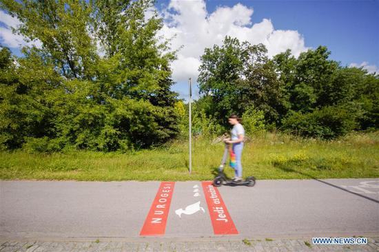Initiatives taken to warn people to avoid ducks crossing roads near Royal Baths Park in Poland