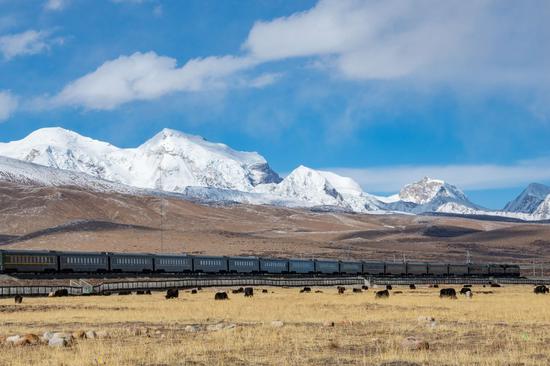 A train running on the Qinghai-Tibet Railway passes by the Nyainqentanglha Range in southwest China's Tibet Autonomous Region, March 1, 2020. Railway maintenance workers stuck to their post to ensure the safety of railway transportation amid the novel coronavirus outbreak. (Xinhua/Purbu Zhaxi)