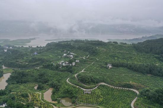 Aerial photo taken on June 23, 2020 shows litchi and longan plantations in Xiazhong Village of Wanzhou District, southwest China's Chongqing Municipality. (Xinhua/Huang Wei)