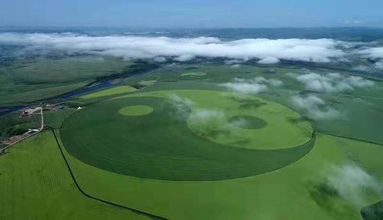 File photo of the Tai Chi patterned crop field in north China's Inner Mongolia Autonomous Region. (Photo provided to Xinhua)