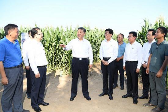 Chinese President Xi Jinping, also general secretary of the Communist Party of China Central Committee and chairman of the Central Military Commission, learns about grain production, the protection and use of black soil at a demonstration zone for green food production in Lishu County of Siping City, northeast China's Jilin Province, July 22, 2020. Xi Jinping inspected Jilin Province on Wednesday. (Xinhua/Yan Yan)