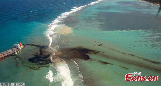 Mauritius oil spill: Locals scramble to contain environmental damage