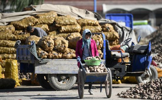 Farmers load potatoes at a potato trading center in Xiji County, Guyuan, northwest China's Ningxia Hui Autonomous Region, Oct. 21, 2020. (Xinhua/Wang Peng)