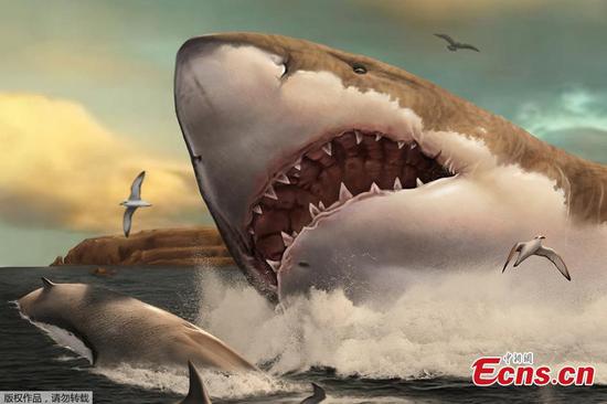 Scientists reconstruct prehistoric shark
