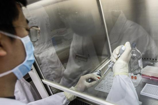 A staff member tests samples of the COVID-19 inactivated vaccine at a laboratory of Sinovac Biotech Ltd., in Beijing, capital of China, March 16, 2020. (Xinhua/Zhang Yuwei)