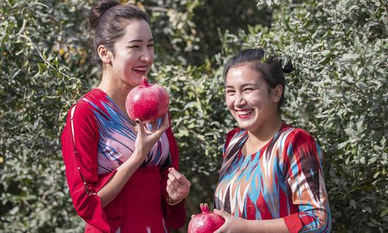 Farmers pick megranates in Pishan County of Hotan, northwest China's Xinjiang Uygur Autonomous Region, Oct. 8, 2020. In summer and autumn, the vast land in Xinjiang embraces the harvest season. (Xinhua/Adil Nadir)