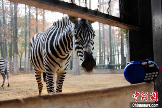 Desensitization training reduces noise's influence to animals at Wuhan Zoo