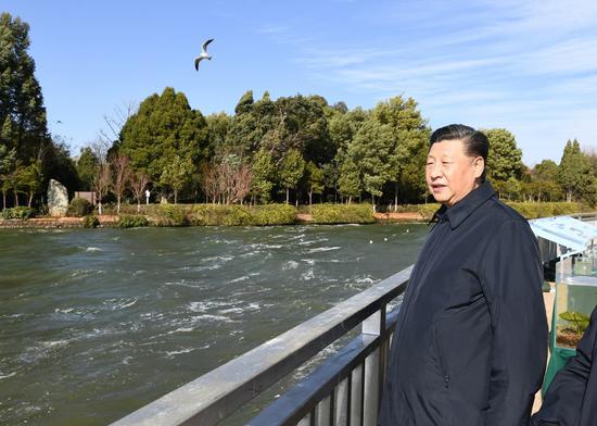 President Xi Jinping visits an ecological wetland of Dianchi Lake in Kunming, capital of southwest China's Yunnan Province, Jan. 20, 2020. (Xinhua/Xie Huanchi)