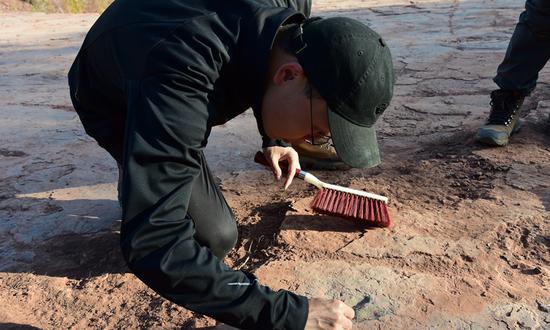 Scientists study dinosaur footprints. (Photos/Courtesy of Xing Lida)

