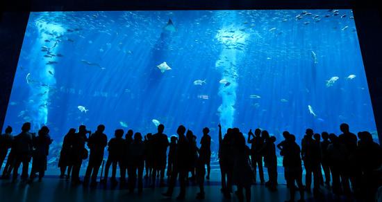 Tourists visit an aquarium at the Atlantis resort in Sanya, south China's Hainan Province, Aug. 6, 2020. (Xinhua/Yang Guanyu)