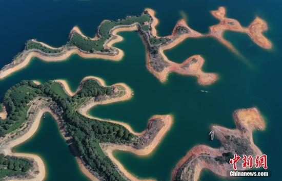 Aerial view of tea garden on Qiandao Lake in Hangzhou