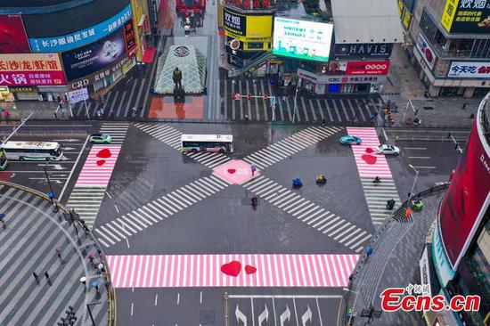 Zebra crossings painted pink to greet International Women's Day