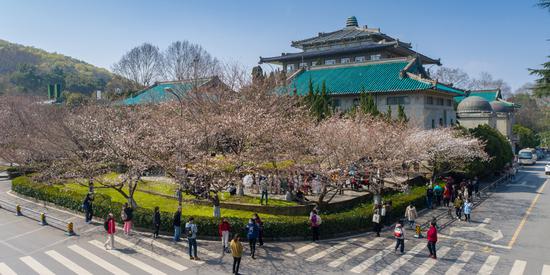 Students and staff members admire the cherry blossom at Wuhan University, Hubei province, last week. (Photo by Ke Hao/For China Daily)