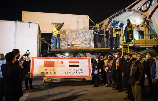 Workers upload a batch of China's Sinopharm COVID-19 vaccines onto a truck in Cairo International Airport, Egypt, Feb. 23, 2021. (Xinhua/Wu Huiwo)