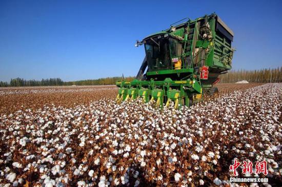 A harvester collects cotton in Xinjiang. (File photo/China News Service)