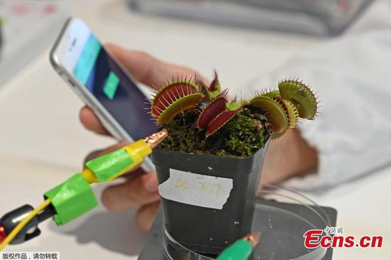 NTU Singapore scientists develop plant 'communication' device