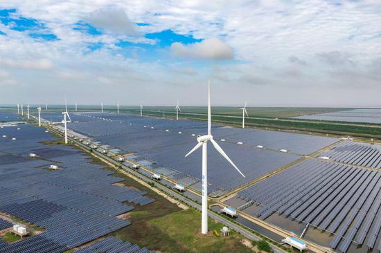 Multi-level green industries improve ecological environment in E China's Jiangsu