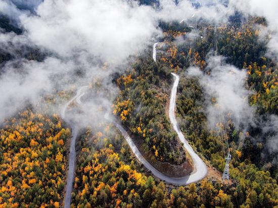 Photo taken on Nov. 5, 2020 shows the highway linking Pad Township in the city of Nyingchi and Medog County, southwest China's Tibet Autonomous Region. (Photo by Dong Zhixiong/Xinhua)