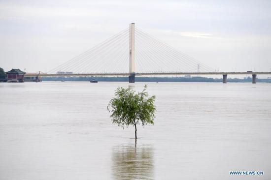 Water level of Ganjiang River rises due to torrential rain