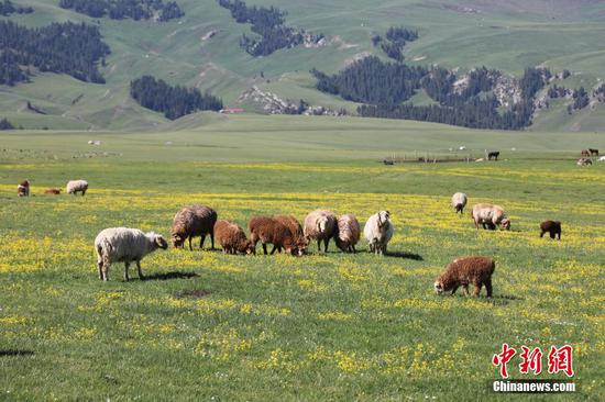 Hundreds of miles of prairie landscape in Xinjiang 