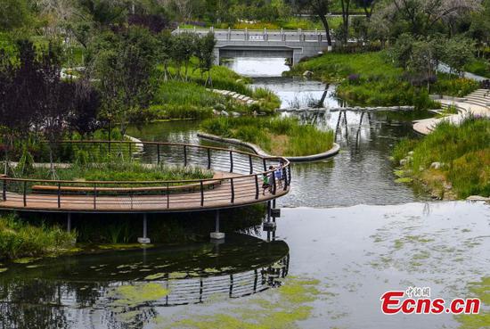 New riverside landscape zone settles down in China's Xinjiang